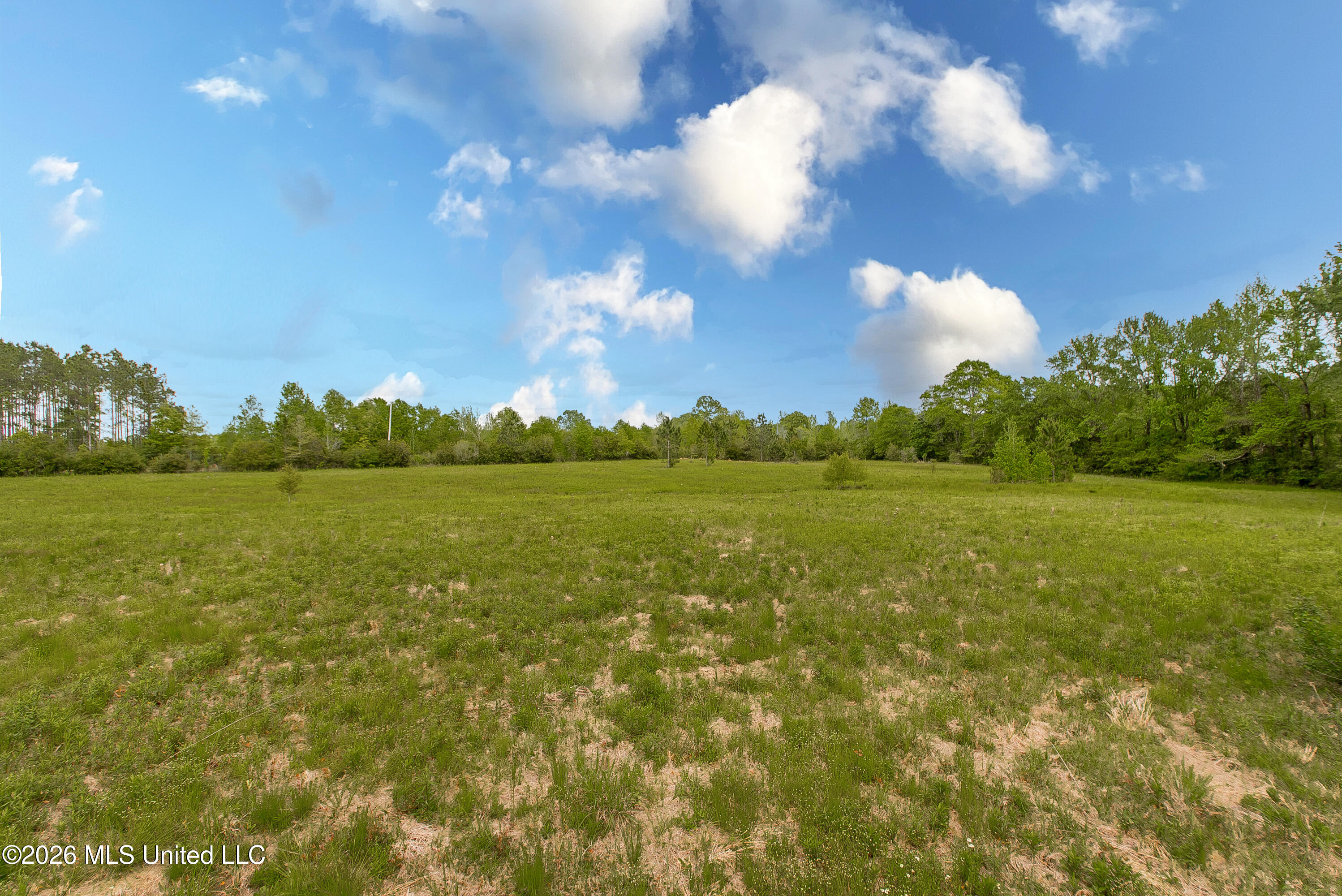 168 Winchester Road Poplarville, MS 39470 - Photo 40 of 42 DSC_9956 copy