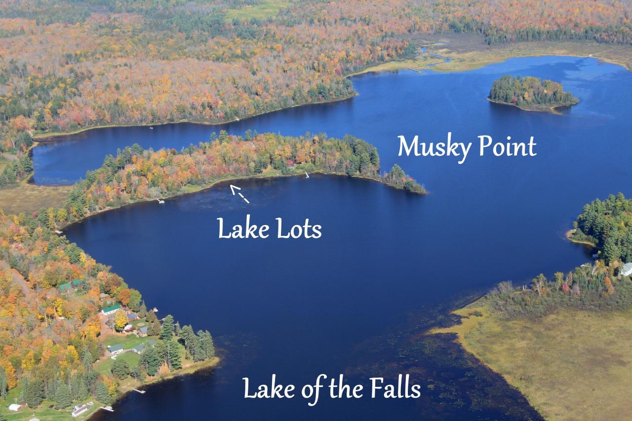 Lot 1 Musky Point Road Mercer, WI 54547 - Photo 6 of 27 Gallery Image 6