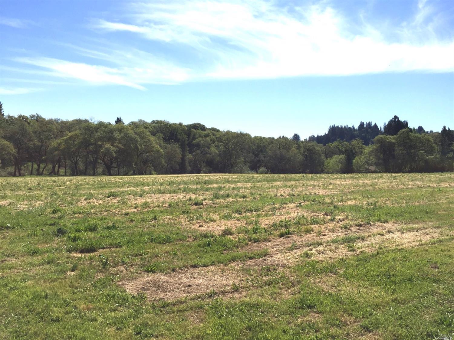 4121 Bones Road Sebastopol, CA 95472 - Photo 1 of 1 a view of a field with an ocean beach