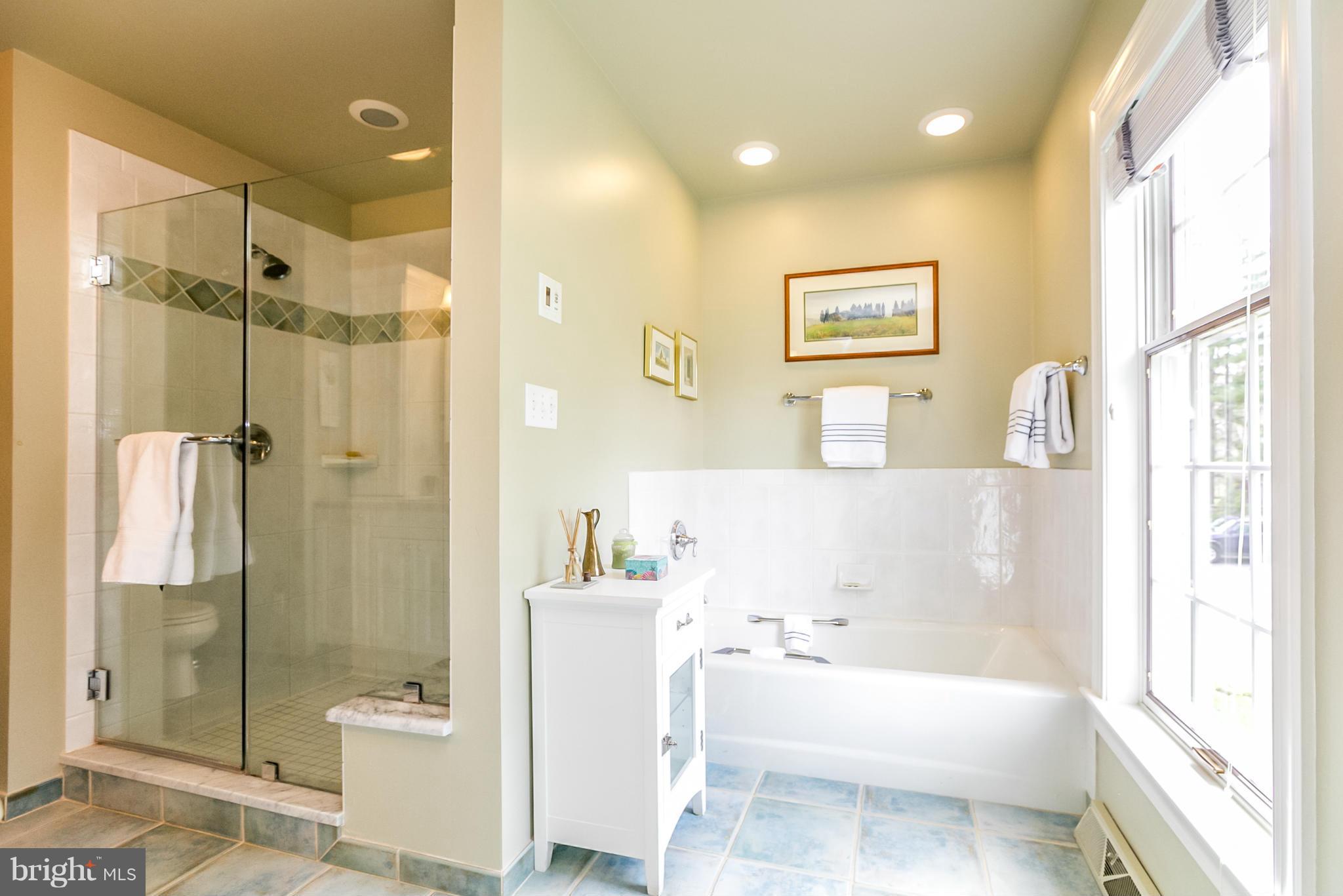 3117 Caves Road Owings Mills, MD 21117 - Photo 16 of 30 Bath (Master)