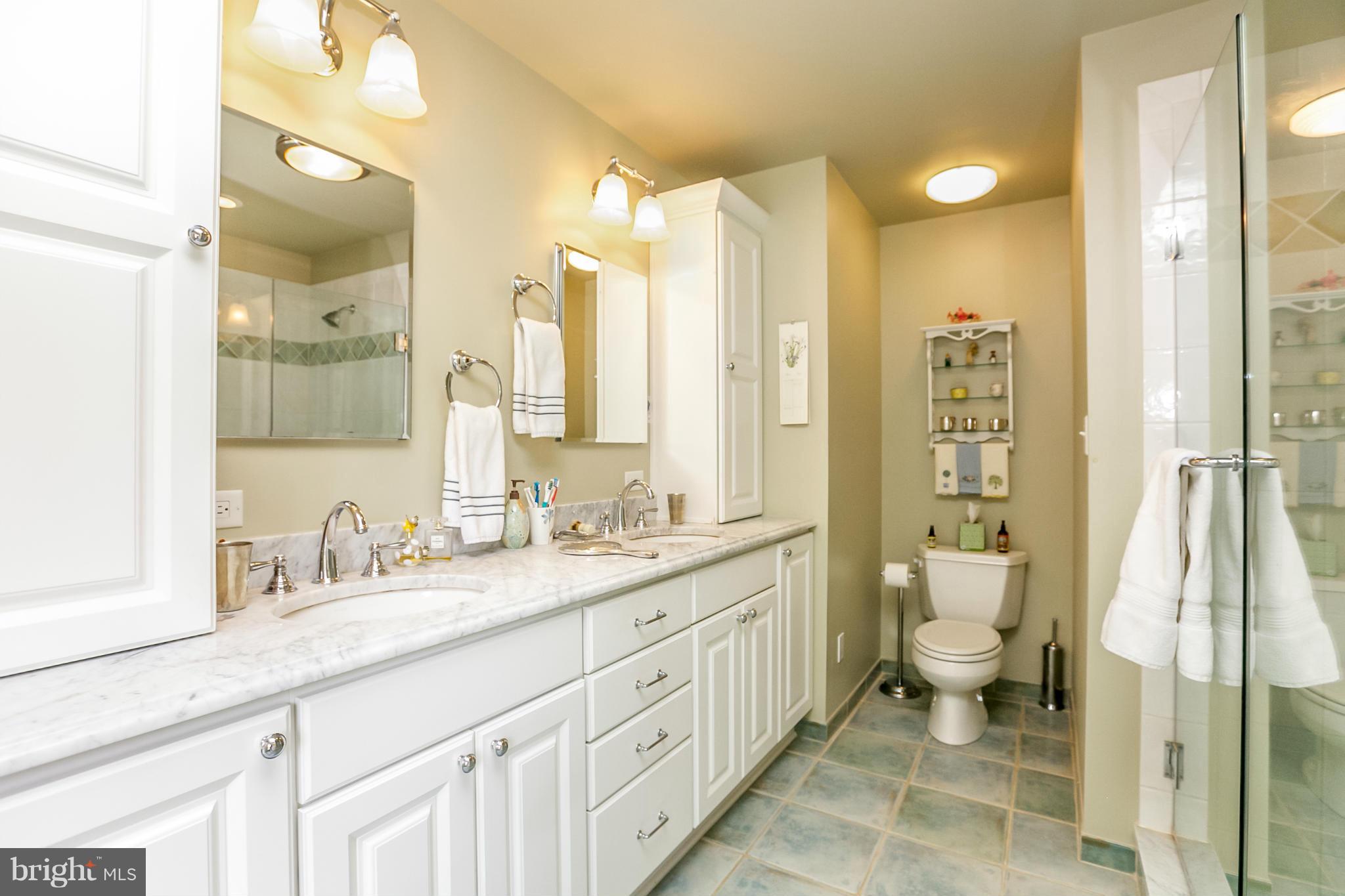 3117 Caves Road Owings Mills, MD 21117 - Photo 17 of 30 Bath (Master)
