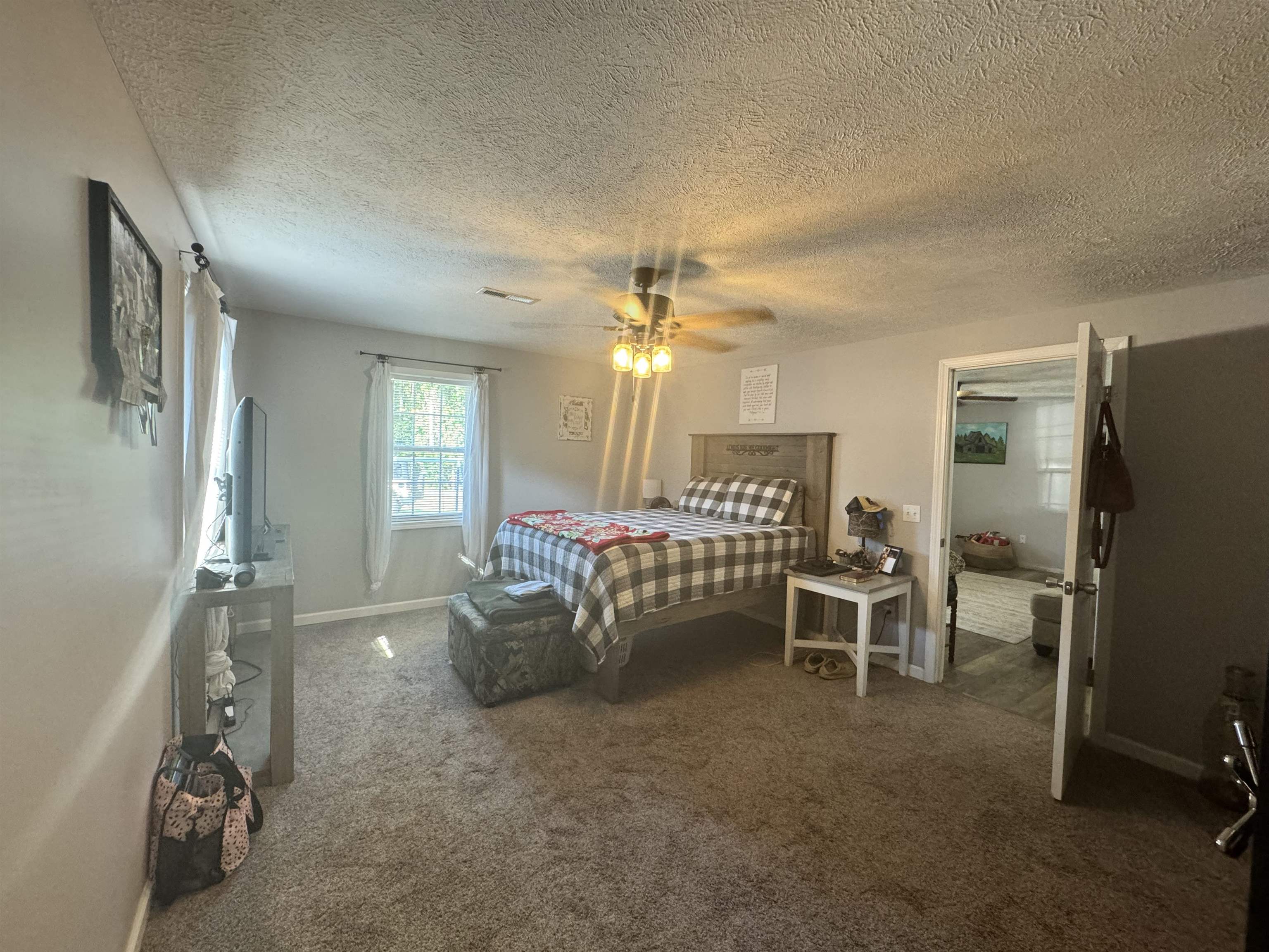 780 Ammons Road Selmer, TN 38375 - Photo 14 of 21 Bedroom featuring carpet flooring, a textured ceiling, and ceiling fan