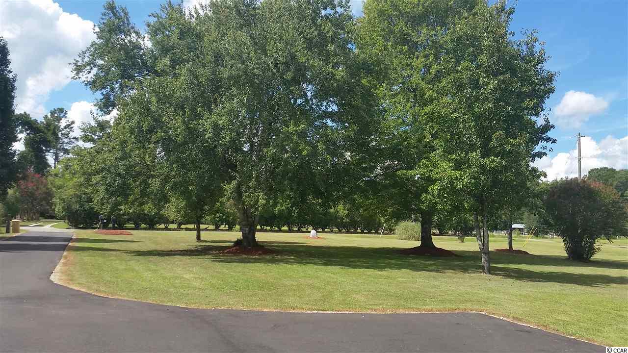 4529 Old Reaves Ferry Road Conway, SC 29526 - Photo 22 of 24 Gallery Image 22
