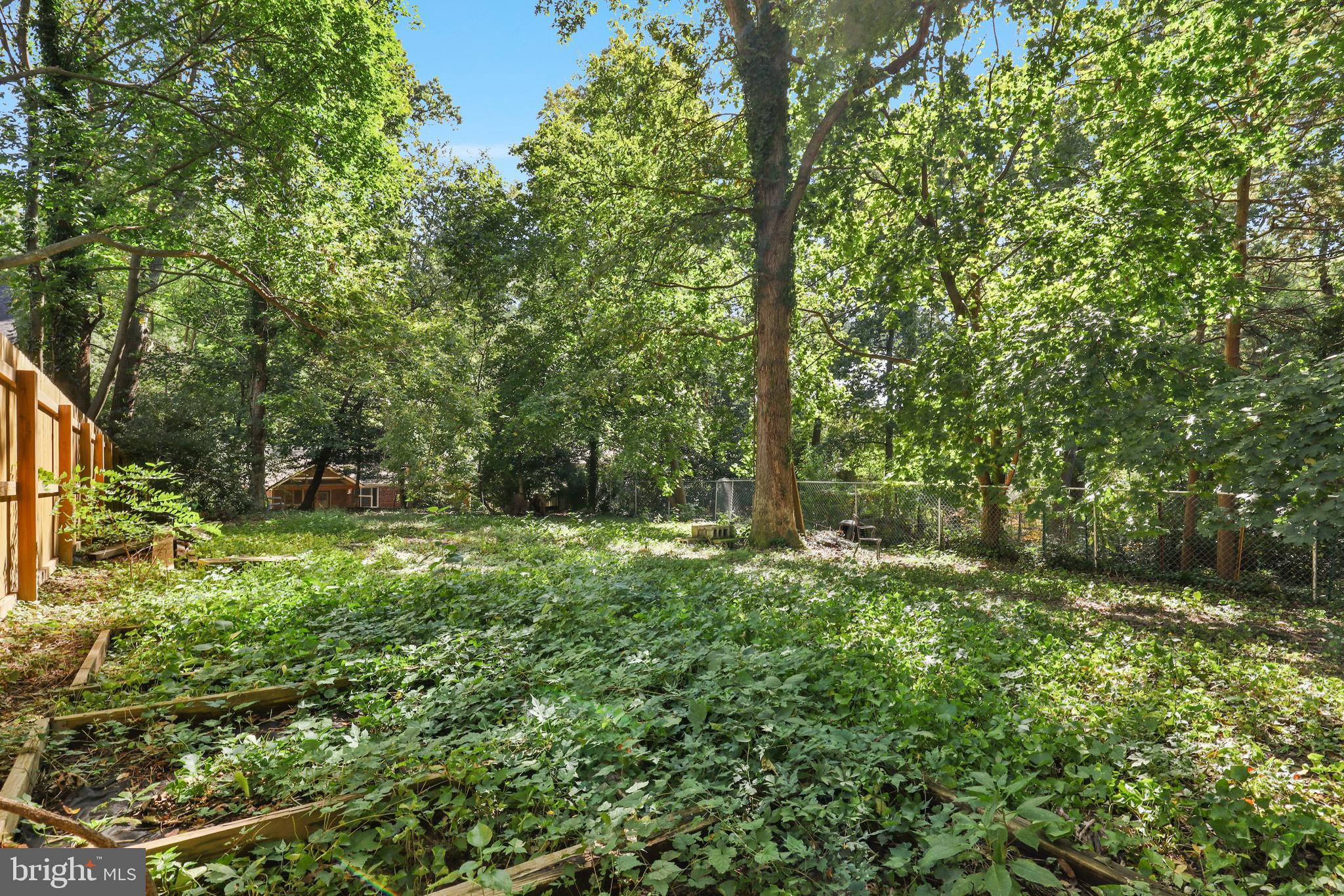 8008 Valley Street Silver Spring, MD 20910 - Photo 36 of 37 Exterior - Rear