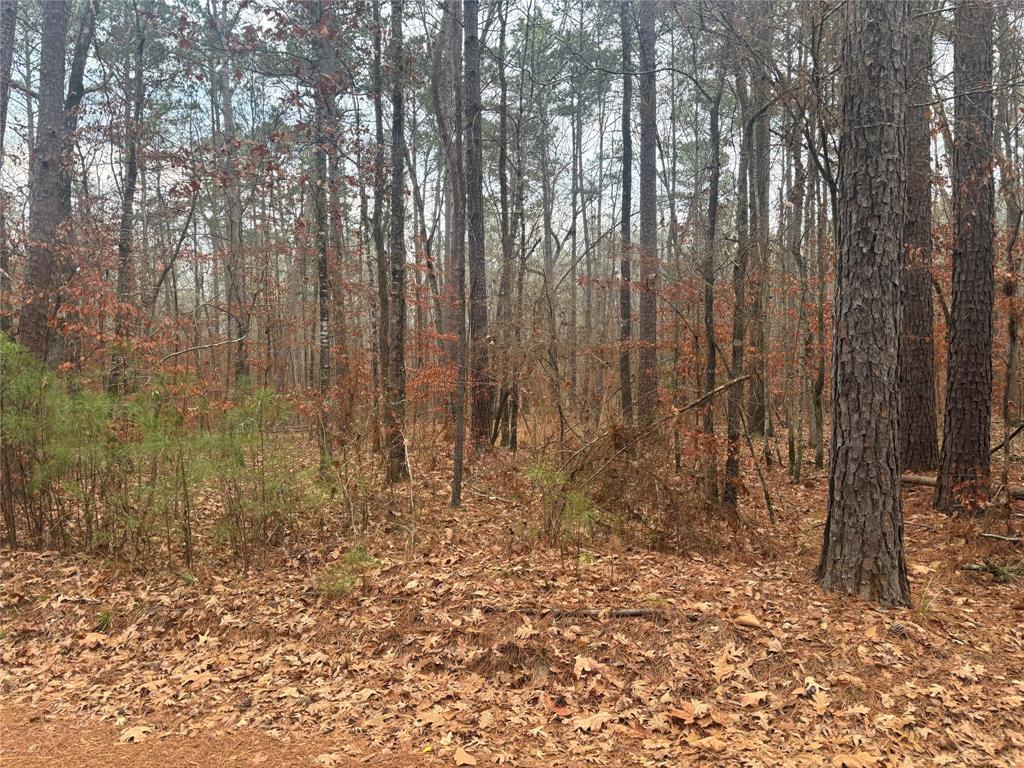 0 Clement Road Benton, LA 71006 - Photo 5 of 7