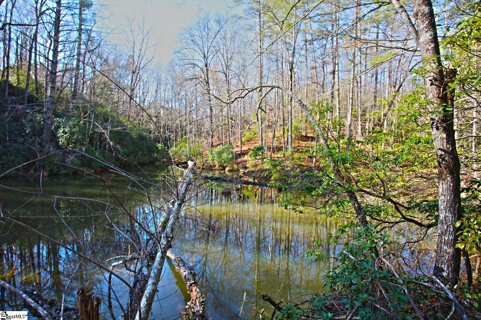 83 Inland Trail Salem, SC 29676 - Photo 11 of 36 Gallery Image 11