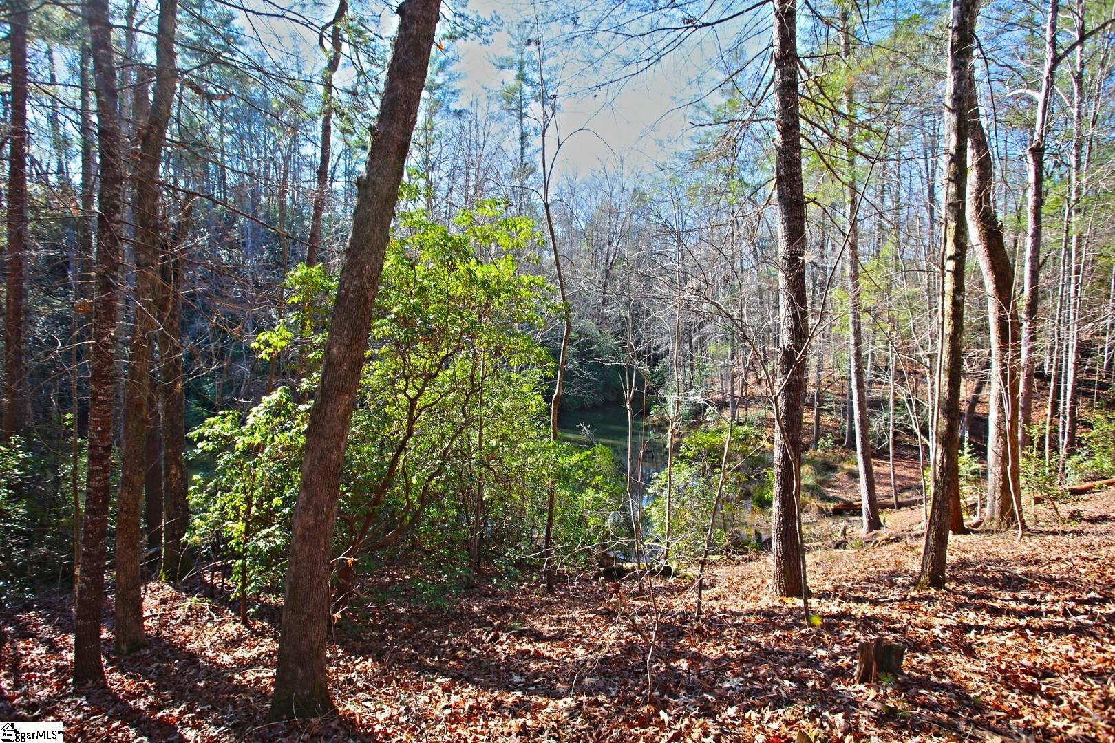 83 Inland Trail Salem, SC 29676 - Photo 12 of 36 Gallery Image 12