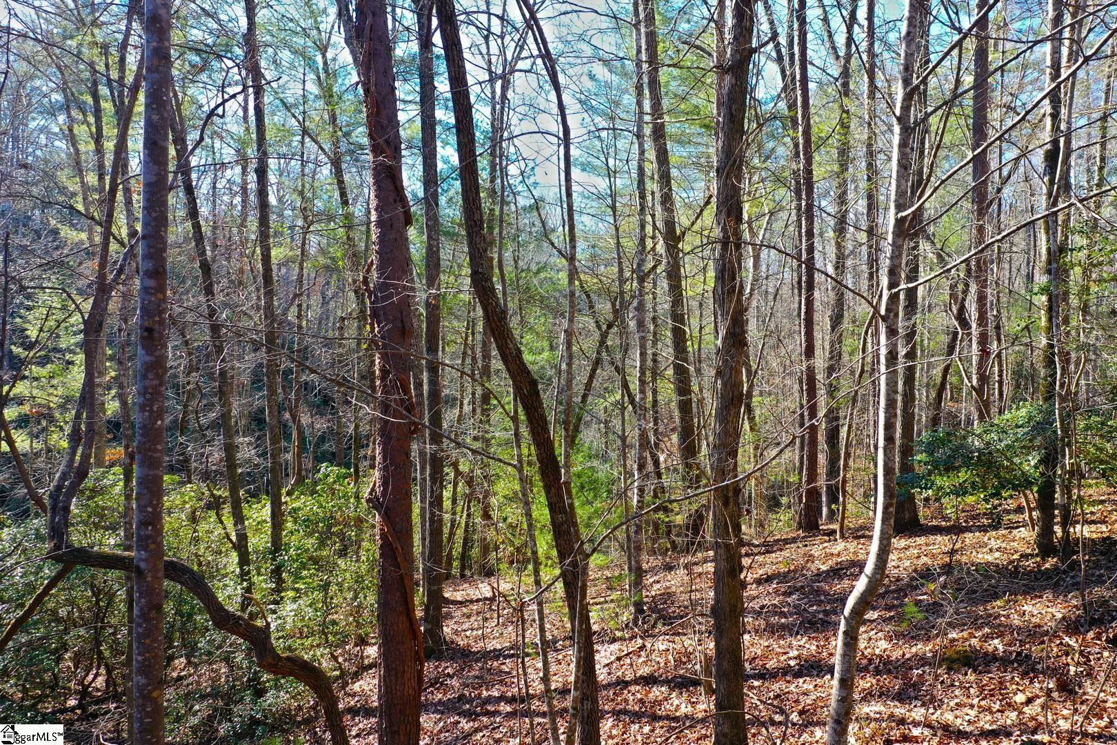 83 Inland Trail Salem, SC 29676 - Photo 29 of 36 Gallery Image 29