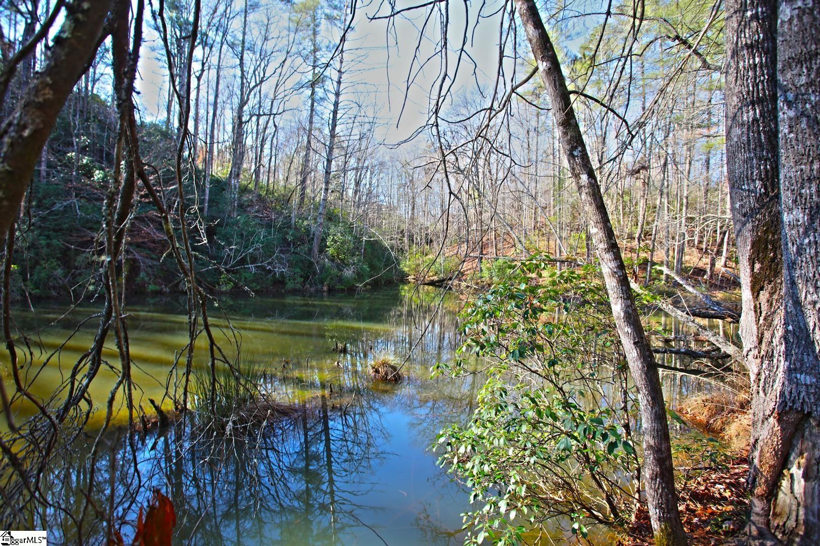 83 Inland Trail Salem, SC 29676 - Photo 36 of 36 Gallery Image 36