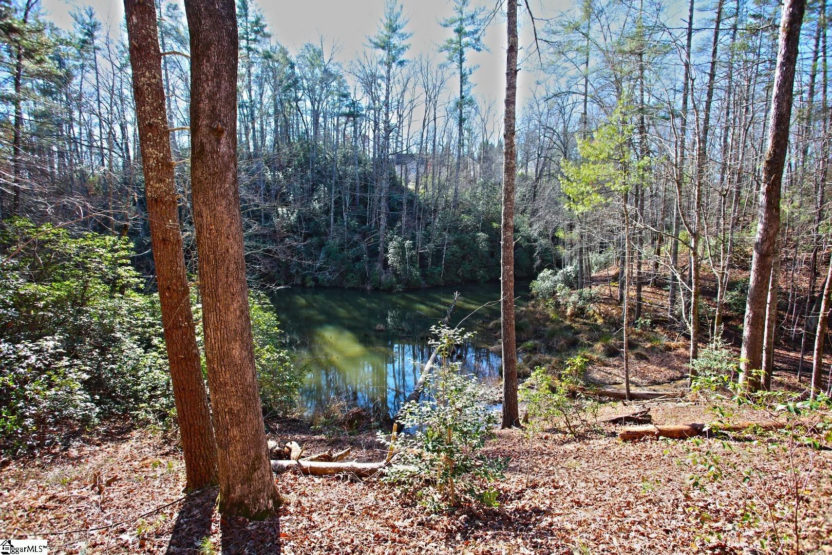 83 Inland Trail Salem, SC 29676 - Photo 8 of 36 Gallery Image 8