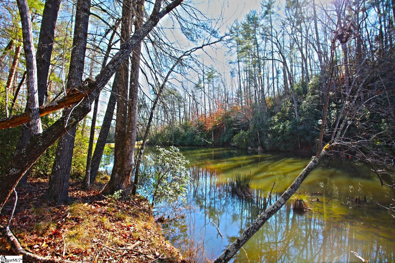 83 Inland Trail Salem, SC 29676 - Photo 9 of 36 Gallery Image 9
