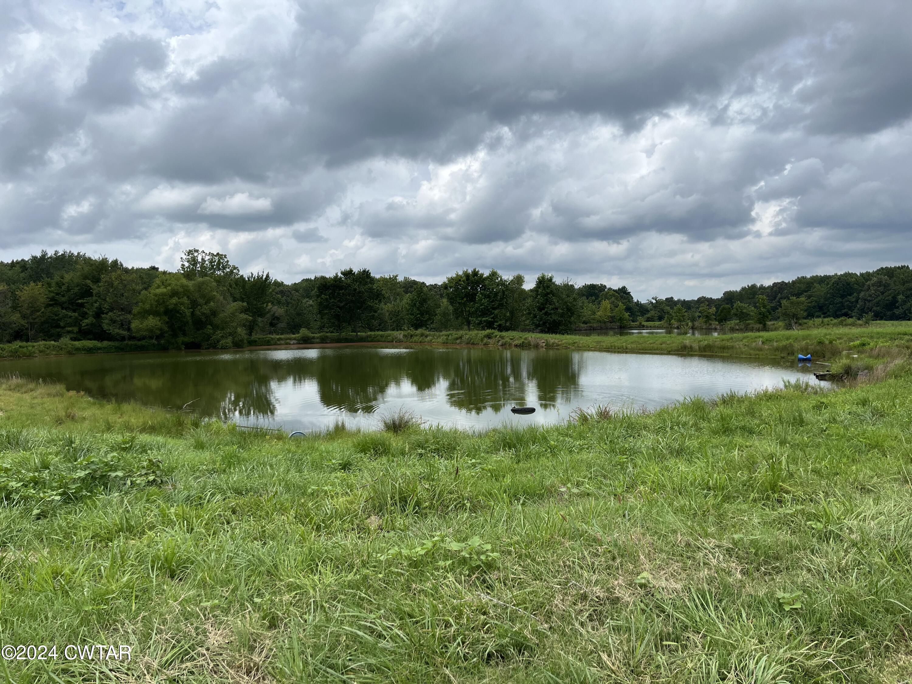 225 Perkins Road Dresden, TN 38225 - Photo 24 of 30 IMG_4137