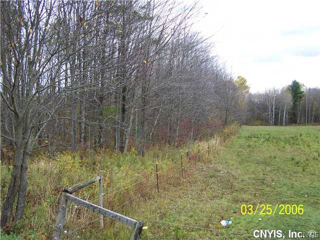 231 Bull Run Road, Unit 39 Parish, NY 13131 - Photo 5 of 11