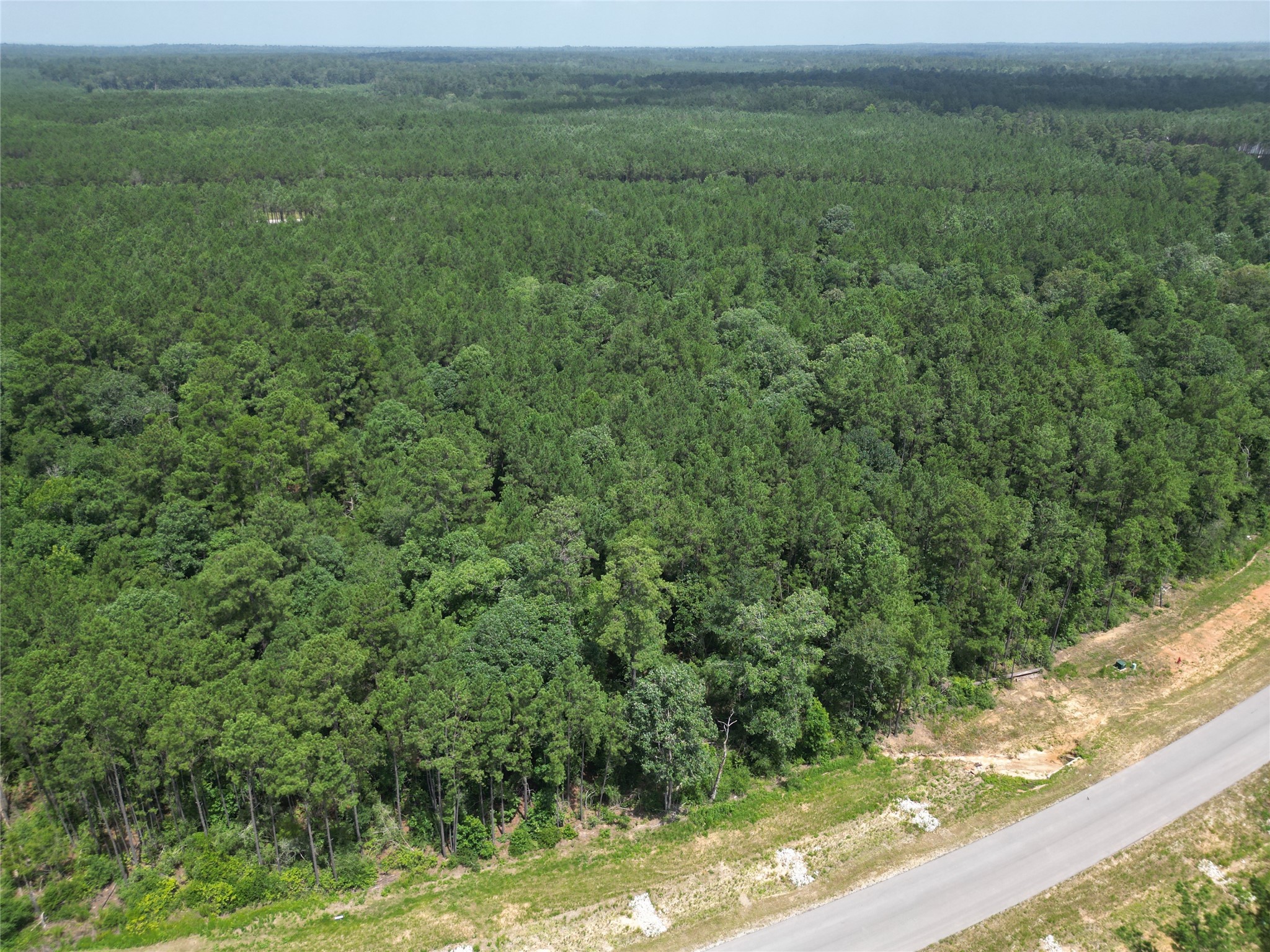 15884 Ridge Oak Road Willis, TX 77378 - Photo 12 of 24