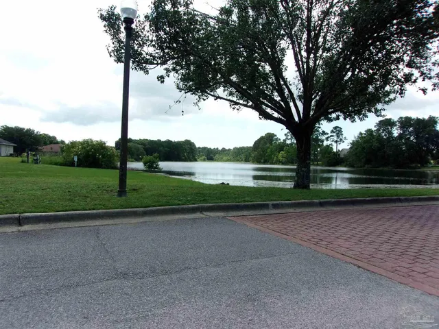 a view of road with trees in the background