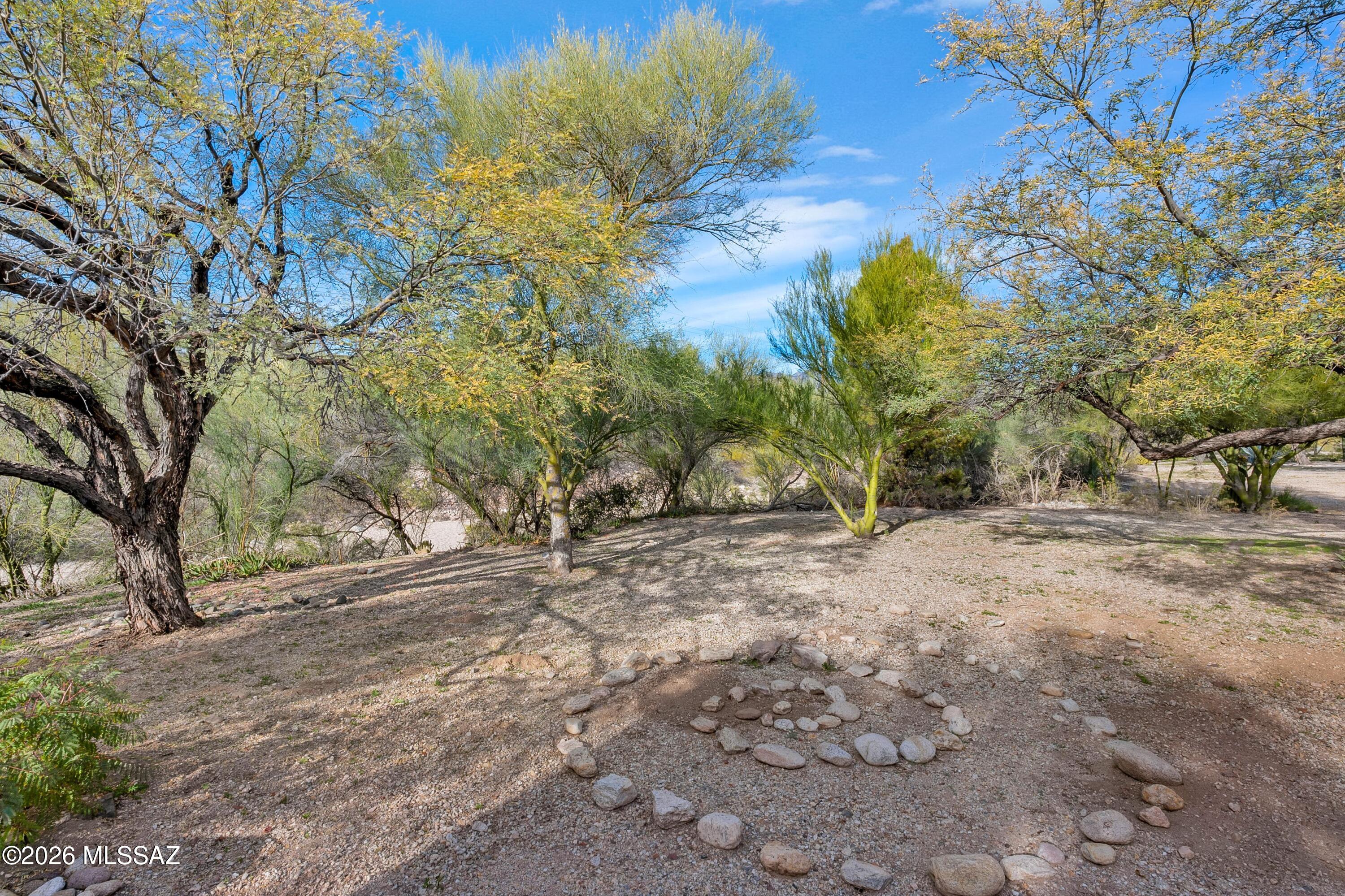 6941 East Rivercrest Road Tucson, AZ 85750 - Photo 24 of 32 a view of dirt yard with a tree