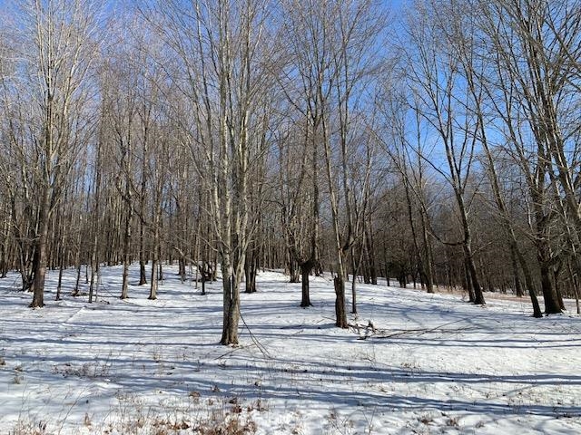 0 Us Route 7 Pownal, VT 05261 - Photo 11 of 21