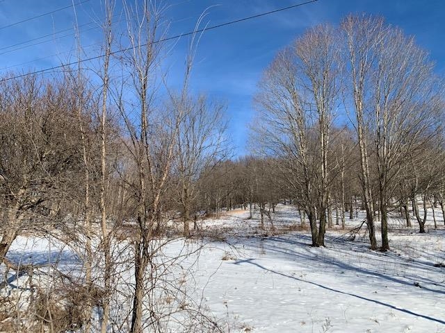 0 Us Route 7 Pownal, VT 05261 - Photo 12 of 21