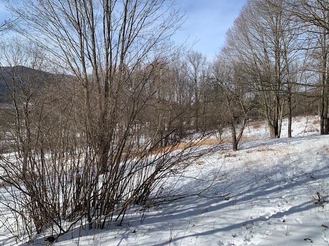 0 Us Route 7 Pownal, VT 05261 - Photo 13 of 21