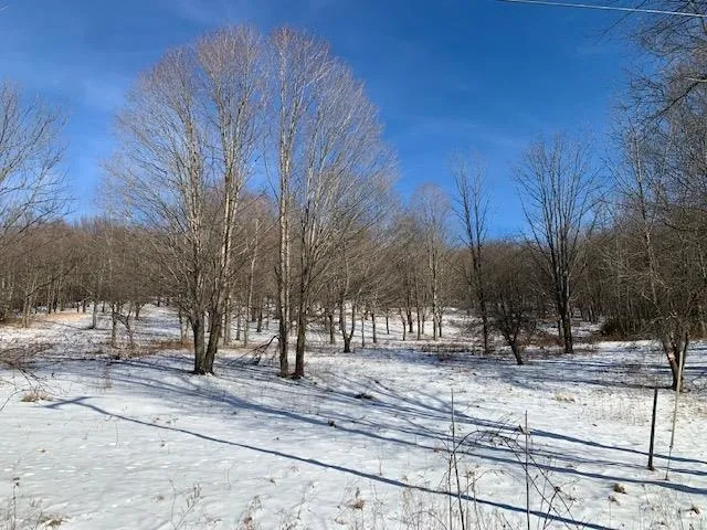 $175,000 | 0 Us Route 7, Pownal, VT 05261