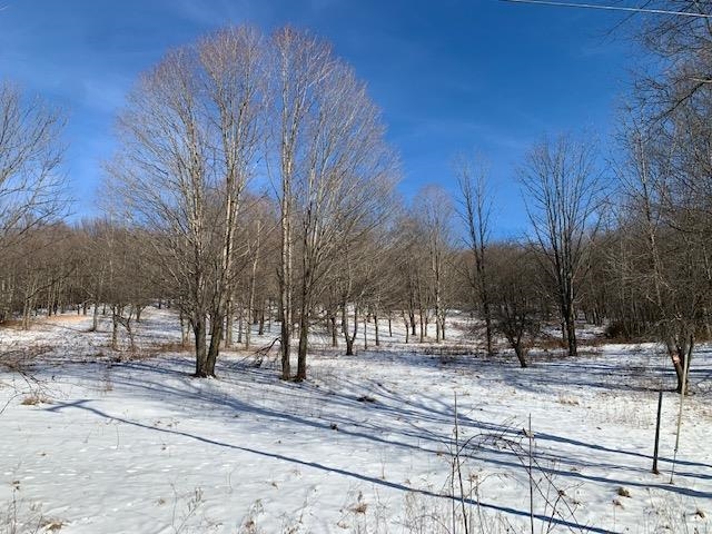 0 Us Route 7 Pownal, VT 05261 - Photo 14 of 21