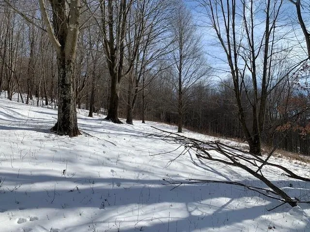 $175,000 | 0 Us Route 7, Pownal, VT 05261