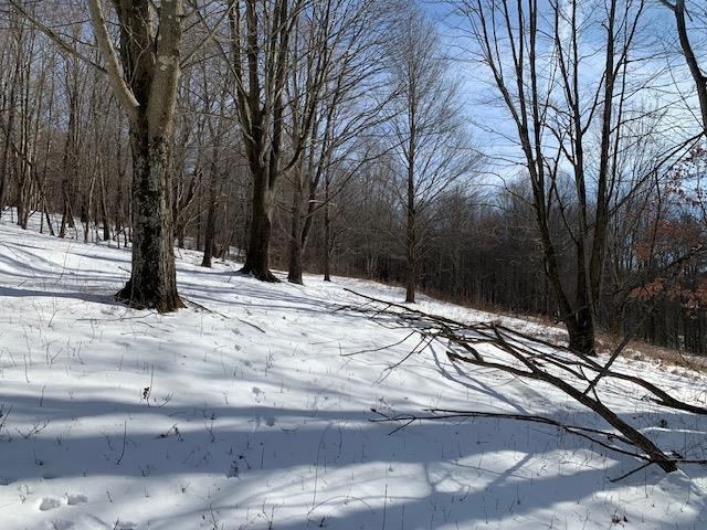 0 Us Route 7 Pownal, VT 05261 - Photo 15 of 21