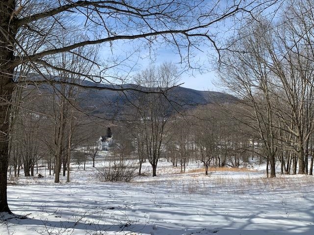 0 Us Route 7 Pownal, VT 05261 - Photo 16 of 21