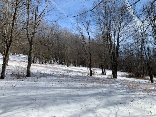 0 Us Route 7 Pownal, VT 05261 - Photo 17 of 21