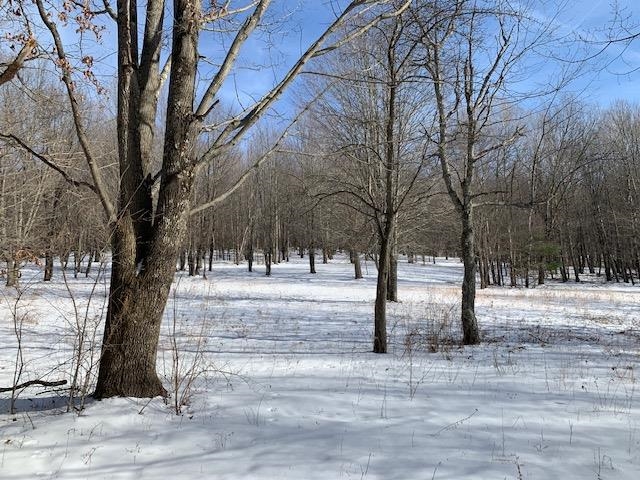 0 Us Route 7 Pownal, VT 05261 - Photo 18 of 21