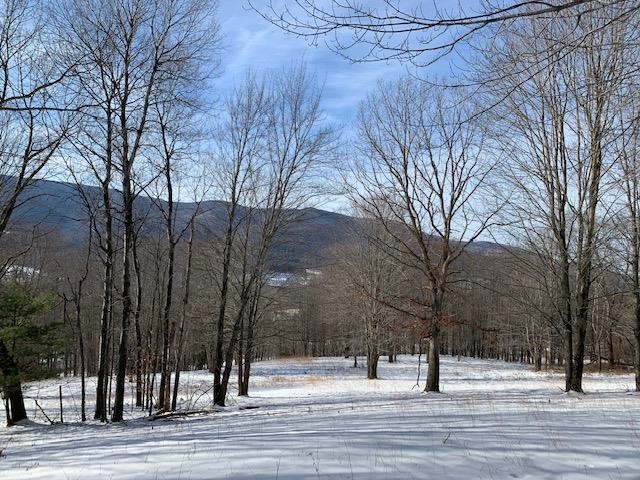 0 Us Route 7 Pownal, VT 05261 - Photo 20 of 21