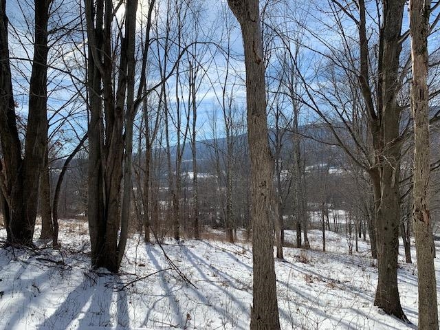 0 Us Route 7 Pownal, VT 05261 - Photo 2 of 21