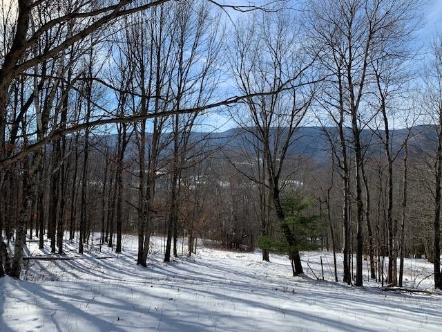 0 Us Route 7 Pownal, VT 05261 - Photo 21 of 21