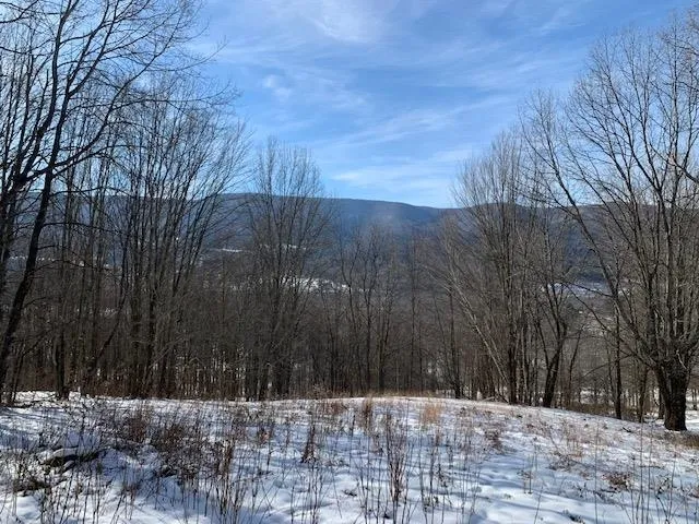 $175,000 | 0 Us Route 7, Pownal, VT 05261