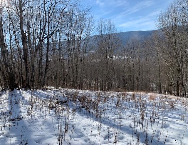 0 Us Route 7 Pownal, VT 05261 - Photo 6 of 21