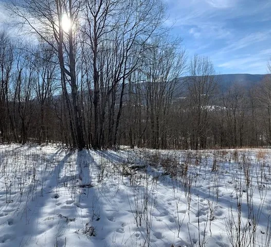 $175,000 | 0 Us Route 7, Pownal, VT 05261