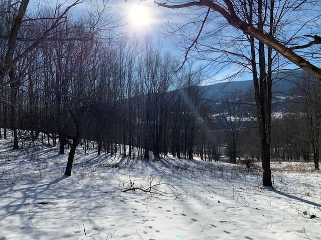 0 Us Route 7 Pownal, VT 05261 - Photo 8 of 21