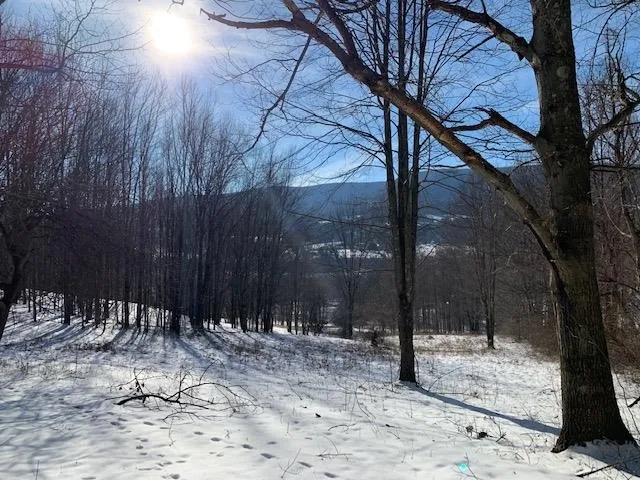 $175,000 | 0 Us Route 7, Pownal, VT 05261