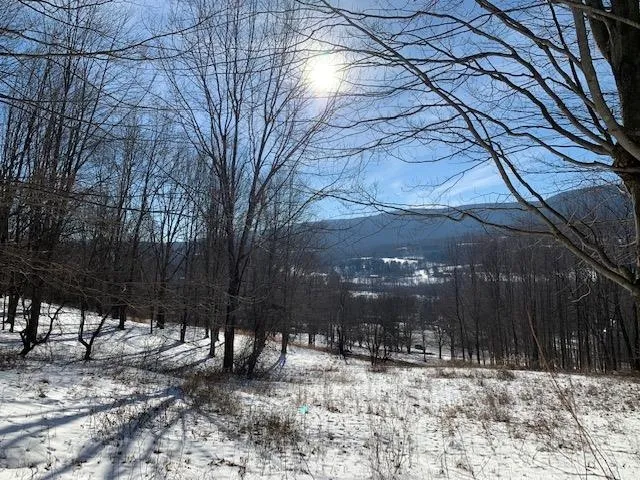 $175,000 | 0 Us Route 7, Pownal, VT 05261