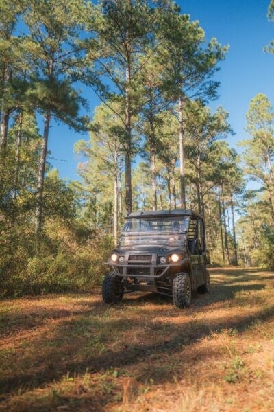 40.83-ac Bold Springs Road Ochlocknee, GA 31773 - Photo 14 of 14 Gallery Image 14