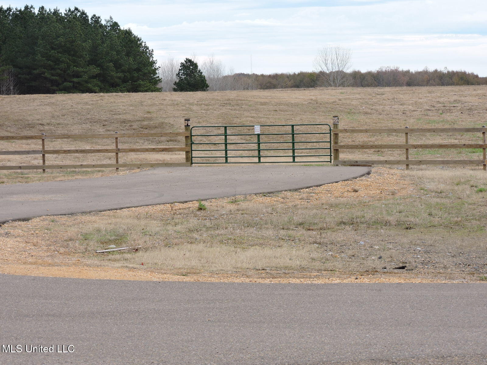 0 Fogg Road North Nesbit, MS 38651 - Photo 11 of 14 DSCN4879