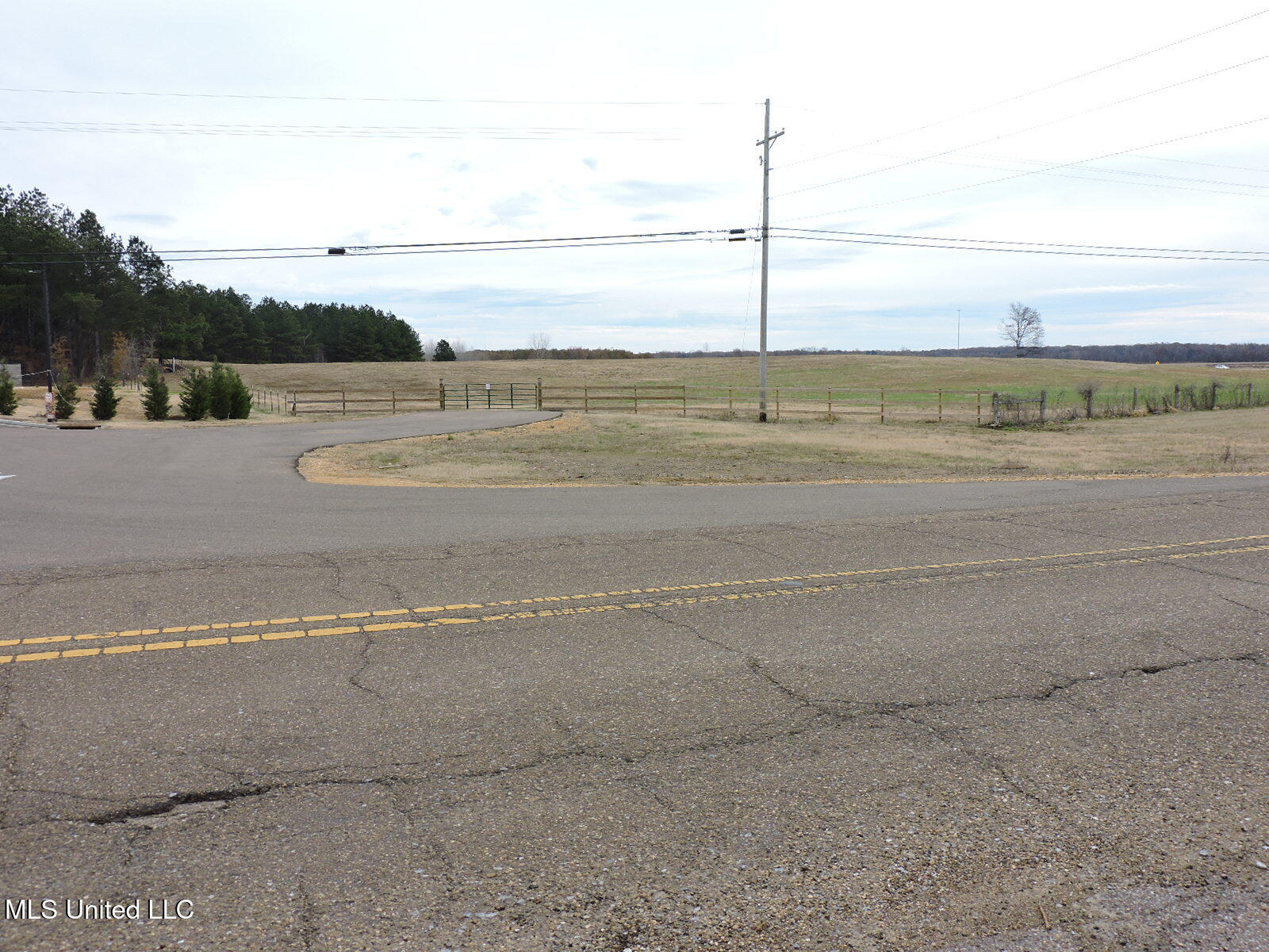 0 Fogg Road North Nesbit, MS 38651 - Photo 12 of 14 DSCN4880