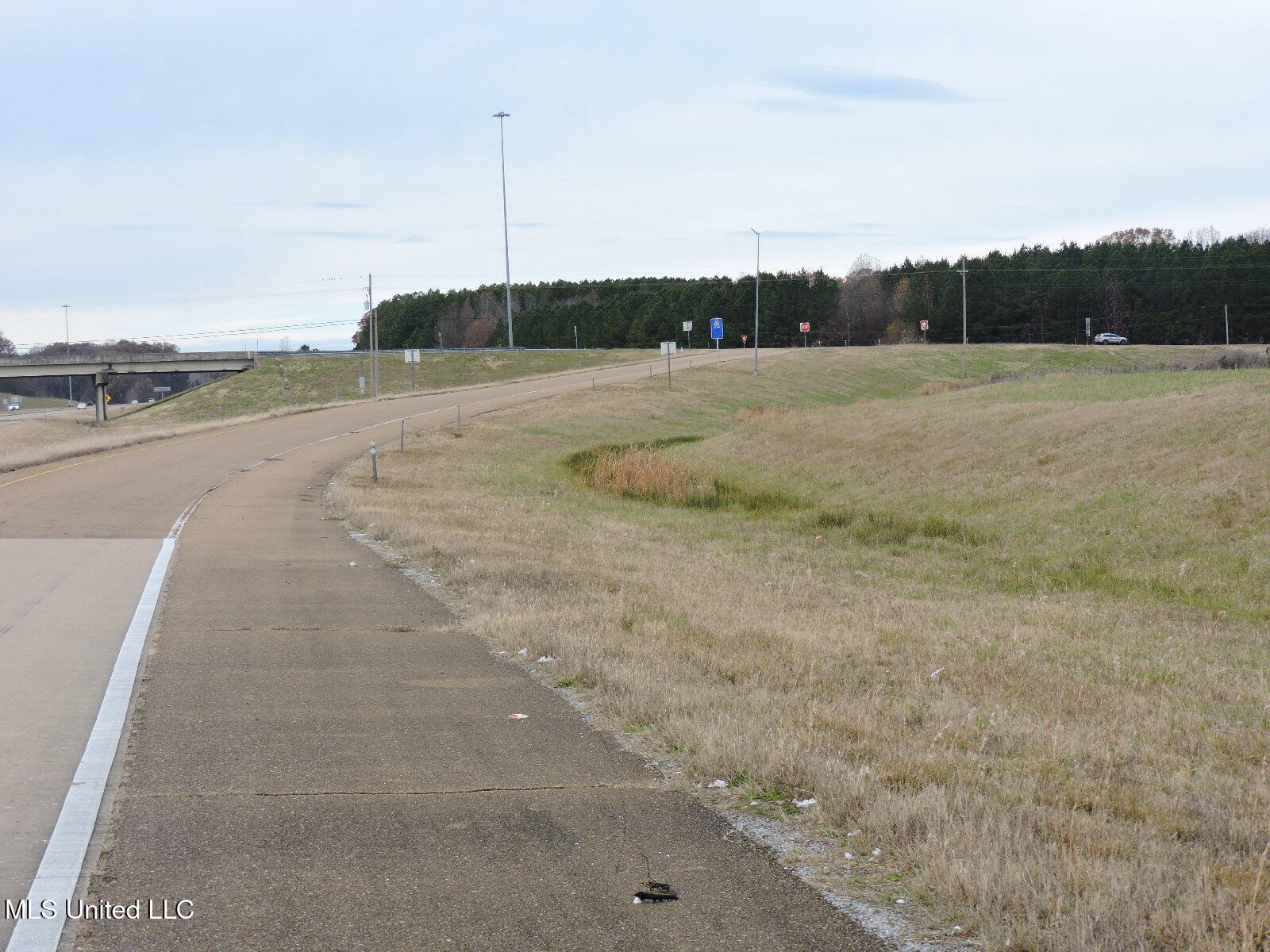 0 Fogg Road North Nesbit, MS 38651 - Photo 3 of 14 DSCN4869
