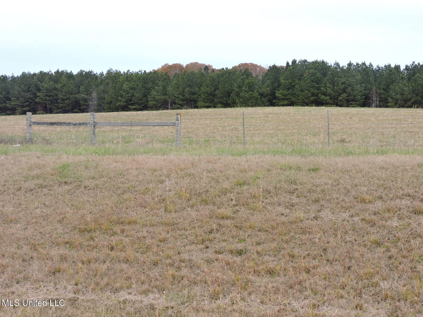 0 Fogg Road North Nesbit, MS 38651 - Photo 4 of 14 DSCN4870