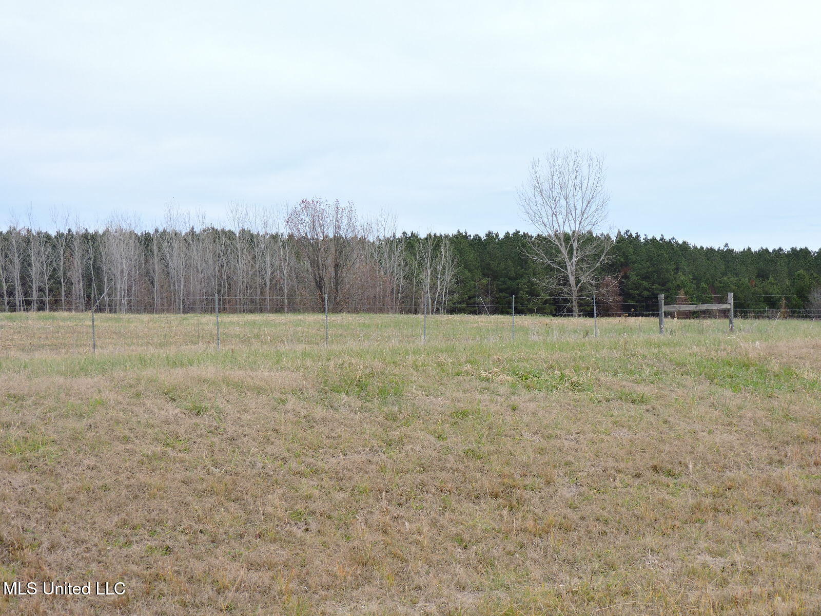 0 Fogg Road North Nesbit, MS 38651 - Photo 5 of 14 DSCN4871