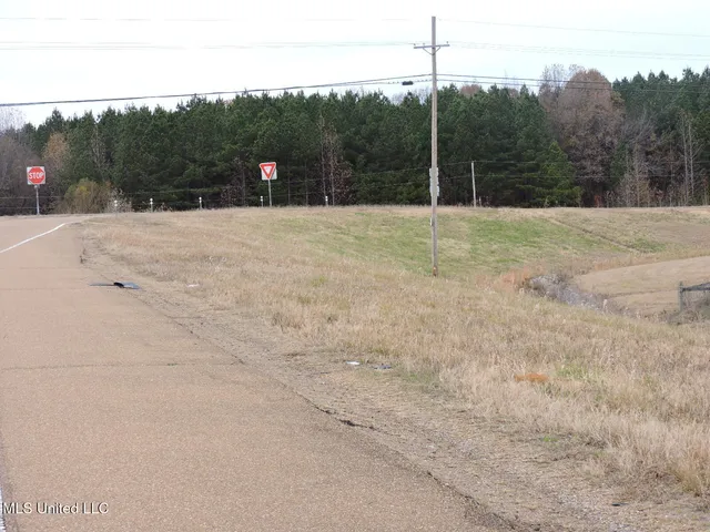 $2,950,000 | 0 Fogg Road North, Nesbit, MS 38651