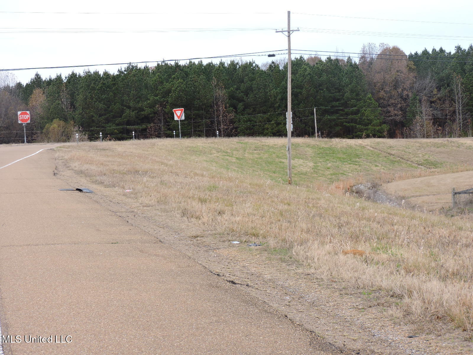 0 Fogg Road North Nesbit, MS 38651 - Photo 6 of 14 DSCN4873