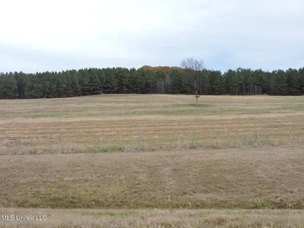 $2,950,000 | 0 Fogg Road North, Nesbit, MS 38651