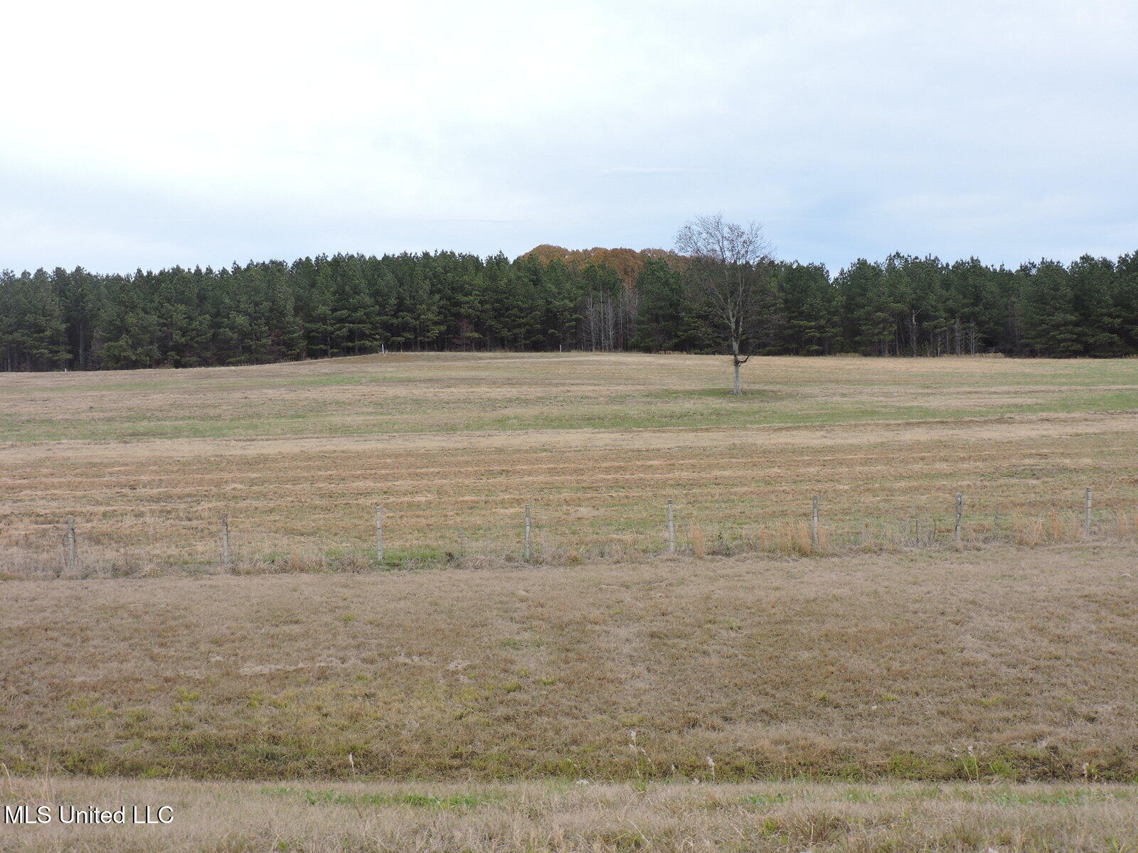 0 Fogg Road North Nesbit, MS 38651 - Photo 7 of 14 DSCN4874
