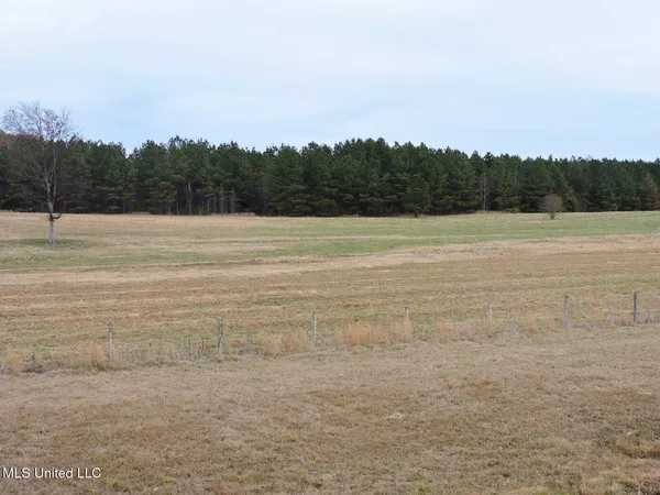 $2,950,000 | 0 Fogg Road North, Nesbit, MS 38651